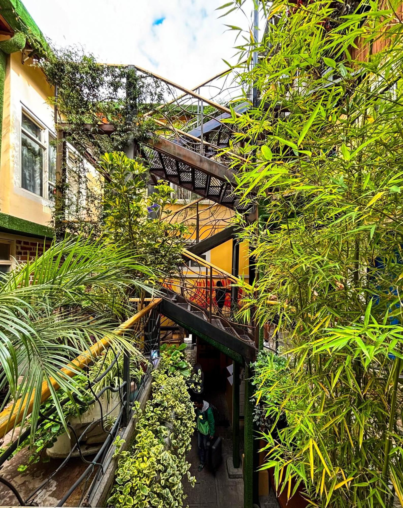 The Secret Garden Pansiyon Quito Dış mekan fotoğraf