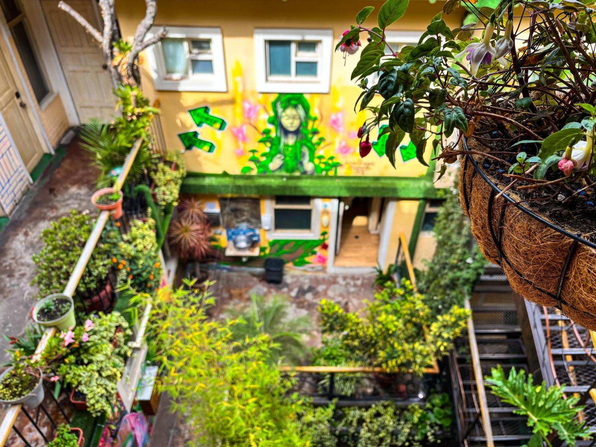 The Secret Garden Pansiyon Quito Dış mekan fotoğraf